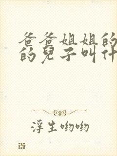 爸爸姐姐的儿子的儿子叫什么