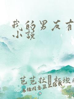 我的男友有性瘾小说