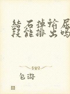 结石掉输尿管上段能排出吗