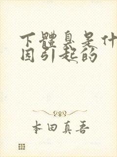 下体臭是什么原因引起的