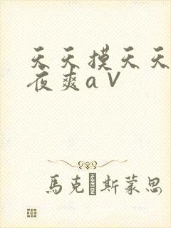 天天摸天天操夜夜爽a∨