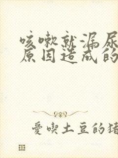 咳嗽就漏尿什么原因造成的