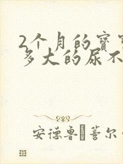 2个月的宝宝用多大的尿不湿