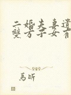 二婚夫妻遗产,双方子女有继承权吗