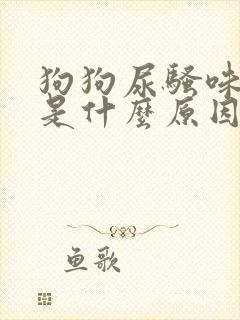 狗狗尿骚味很重是什么原因