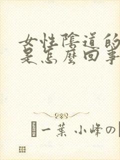 女性阴道的异味是怎么回事