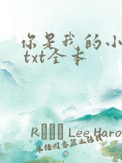 你是我的小美好 txt全本