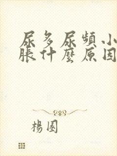 尿多尿频小腹坠胀什么原因