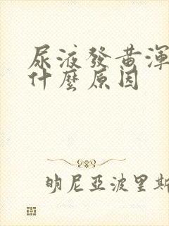 尿液发黄浑浊是什么原因