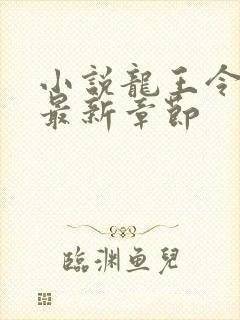 小说龙王令陈平最新章节