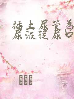 插上尿管为什么尿液从尿口往外流