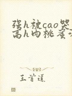 强h被cao哭高h肉桃蜜汁