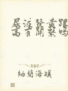 尿液发黄跟尿酸高有关系吗