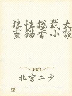 狼性总裁太凶猛灵猫香小说