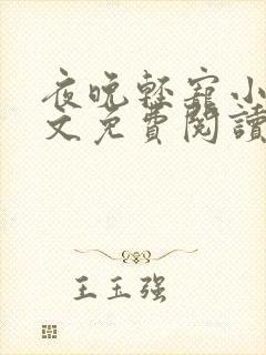 夜晚轻宠小说全文免费阅读最新章节列表