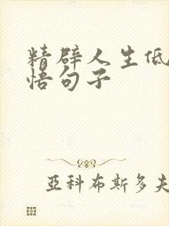 精辟人生低谷感悟句子