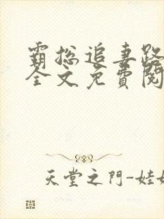 霸总追妻路漫漫全文免费阅读