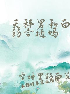 天秤男和白羊女的合适吗