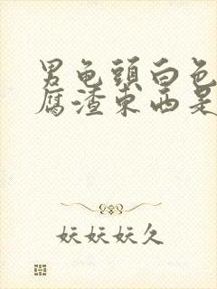 男龟头白色的豆腐渣东西是什么