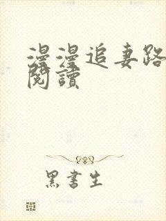 漫漫追妻路免费阅读