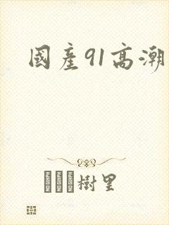 国产91高潮了