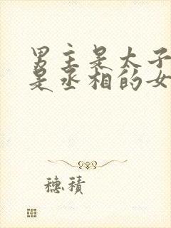 男主是太子女主是丞相的女儿