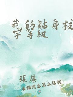 我的贴身校花唐宇等级