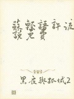 苏轻语许流年小说免费