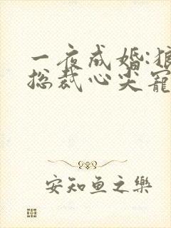 一夜成婚:狼性总裁心尖宠