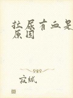 拉尿有血是什么原因