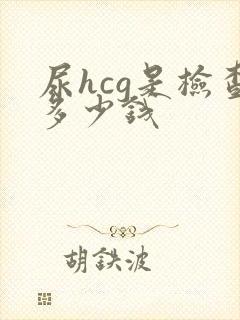 尿hcg是检查多少钱