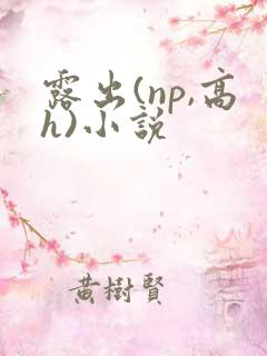 露出(np,高h)小说