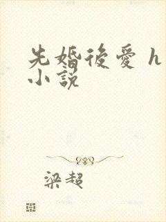 先婚后爱 h 小说
