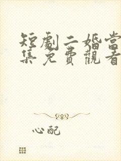 短剧二婚当嫁全集免费观看高清