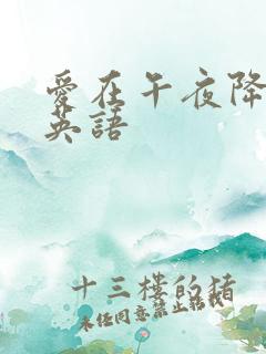 爱在午夜降临前英语