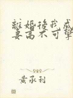 离婚后我成了前妻高不可攀的神