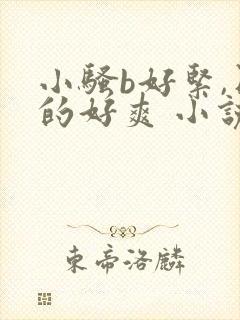 小骚b好紧,日的好爽 小说