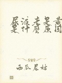 尿液老是黄色的是什么原因