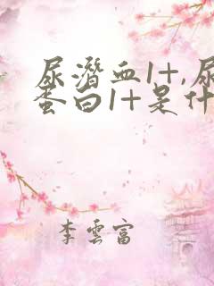 尿潜血1+,尿蛋白1+是什么意思