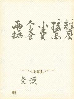 两个小孩离婚了抚养费怎么算