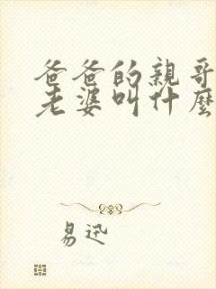 爸爸的亲哥哥的老婆叫什么称呼