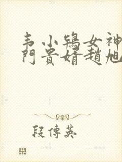 韦小鸨女神的上门贵婿赵旭