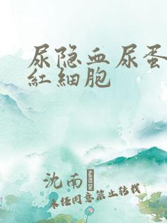 尿隐血尿蛋白尿红细胞