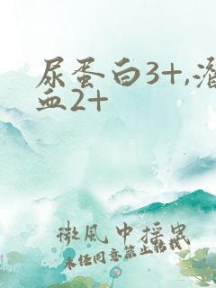 尿蛋白3+,潜血2+