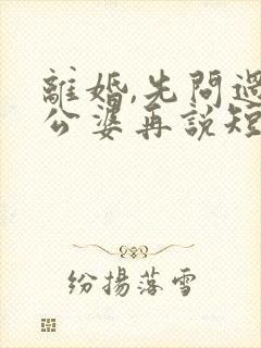 离婚,先问过我公婆再说短剧