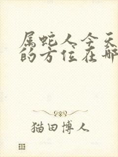 属蛇人今天打牌的方位在哪