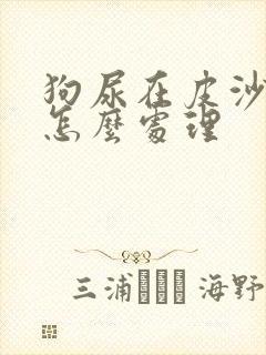 狗尿在皮沙发上怎么处理