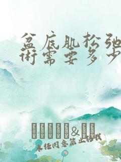 盆底肌松弛做手术需要多少钱