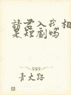 请君入我相思局是短剧吗