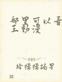 哪里可以看航海王动漫